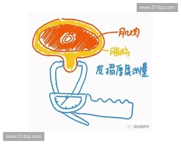 赛程密度变化对球队状态体能恢复与比赛表现的综合影响研究机制探